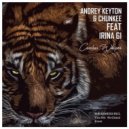 Andrey Keyton & Chunkee feat. Irina Gi - Careless Whisper (Nu Gianni Remix) (Original Mix)