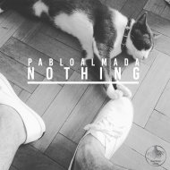 Pablo Almada - Nothing (Original mix)
