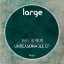 Sebb Junior - We Bring The Party (Original Mix)