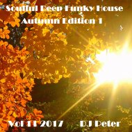 DJ Peter - Soulful Deep Funky House Vol 11 2017 (x)