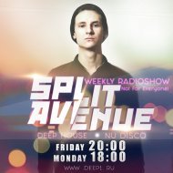 SPLIT AVENUE - Not For Everyone! #019 (Radio)