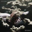 Crywolf - Quantum Immortality (Ferry Corsten Remix)