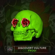 Discovery Culture - Frogi (Original Mix)