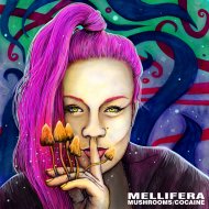 Mellifera - Mushrooms (Original Mix)