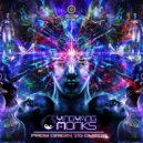 Ying Yang Monks - Origin (Original Mix)