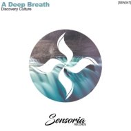 Discovery Culture - A Deep Breath (Radio Edit)