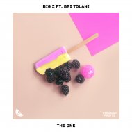 Big Z feat. Bri Tolani - The One (Original Mix)
