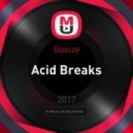 Gosize - Acid Breaks (Original Mix)