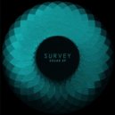 Survey - This Way (Original Mix)