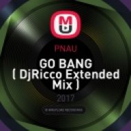 PNAU - GO BANG ( DjRicco Extended Mix )