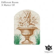 Different Room - Wide Horizons (Original Mix) ()