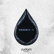 Santiago Garcia - Mailin (Original Mix) ()