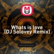 Haddaway - Whats is love (DJ Solovey Remix)