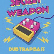 VA - Secret Weapon vol.9 (Compiled and Mixed by Dimta) ()