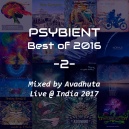 Avadhuta - Psybient: Best of 2016, Vol.2 (Live @ India 2017) ()