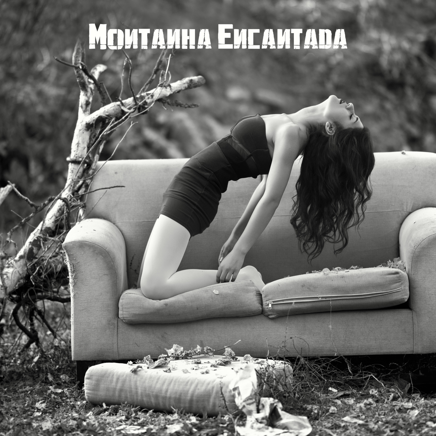 Evoluare & ARTIIK - Montanha Encantada (Original Mix)