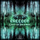 Raccoon - 25Setup (Original Mix)