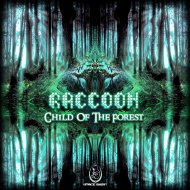Raccoon - The Bird in the Head (Original Mix)