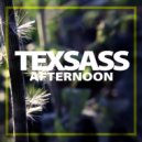 Texsass - Afternoon (Original Mix)