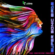 Supersonic Birds - The Cheyenne Indians (Original Mix)
