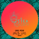 Danilo Milani - Girls Like (Original mix)