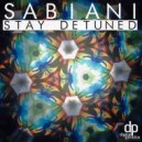 Sabiani - Ride The Kite (Original mix)