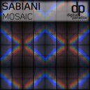 Sabiani - Stainless Steel (Original mix)