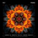 Peet - Promise (Roberto Traista Remix)