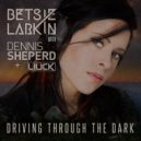 Betsie Larkin with Dennis Sheperd & Liuck - Driving Through The Dark (Extended Mix))