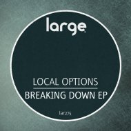 Local Options - Breaking Down (Original Mix)