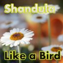Shandula - Like A Bird (Original Mix)