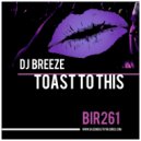 DJ Breeze - Toast To This (Original Mix)