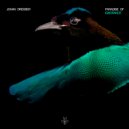 Johan Dresser - Paradise Of Ignorance (Original Mix)