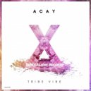 ACAY - Tribe Vibe (Original Mix)