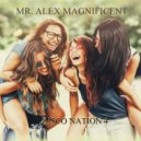 Mr. Alex Magnificent - Disco Nation 4 ()