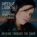 Betsie Larkin with Dennis Sheperd & Liuck - Driving Through The Dark (Novaspace Extended Remix)
