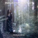 Induction Effect - Новый Мир (Акустическая версия)