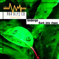 Undergo - Back into chaos (Original Mix)