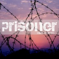 Prisoner - Learn to Switch (Original Mix)
