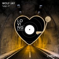 Wolf Jay - Use it (Original Mix)