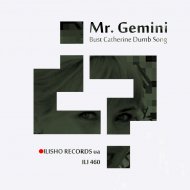 Mr. Gemini - Bust Catherine Dumb Song (Original Mix)