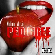 Melion Music - Pedigree (Original Mix)