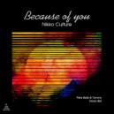 Nikko Culture - Because of You (Nayio Bitz Remix)
