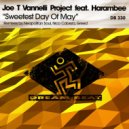 Joe T Vannelli Project feat. Harambee - Sweetest Day Of May (Knee Deep\'s Vocal Hymn Mix Remastered 2k18)