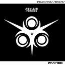 Andres Blows - Asylum (David Del Olmo Remix)