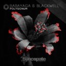 Miss Babayaga DJ & DJ Josh Blackwell - Polygonum (Original Mix)