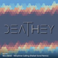 Nico Beldi - Morphine Calling (original mix)