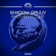 Shadow Gruuv - Another Future (Original Mix)