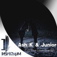 Ash K & Junior - Till The Last Breath (Original Mix)