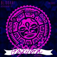 Blissari - Acid Rush (Original Mix)